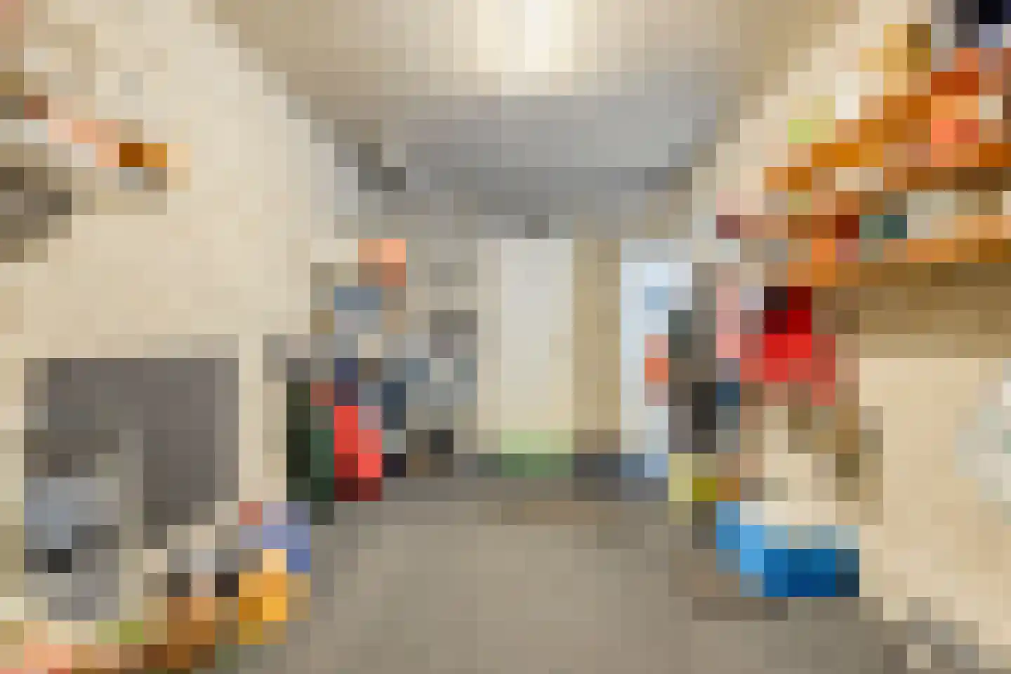 Hezelaar 45 Gemert thumbnail 15