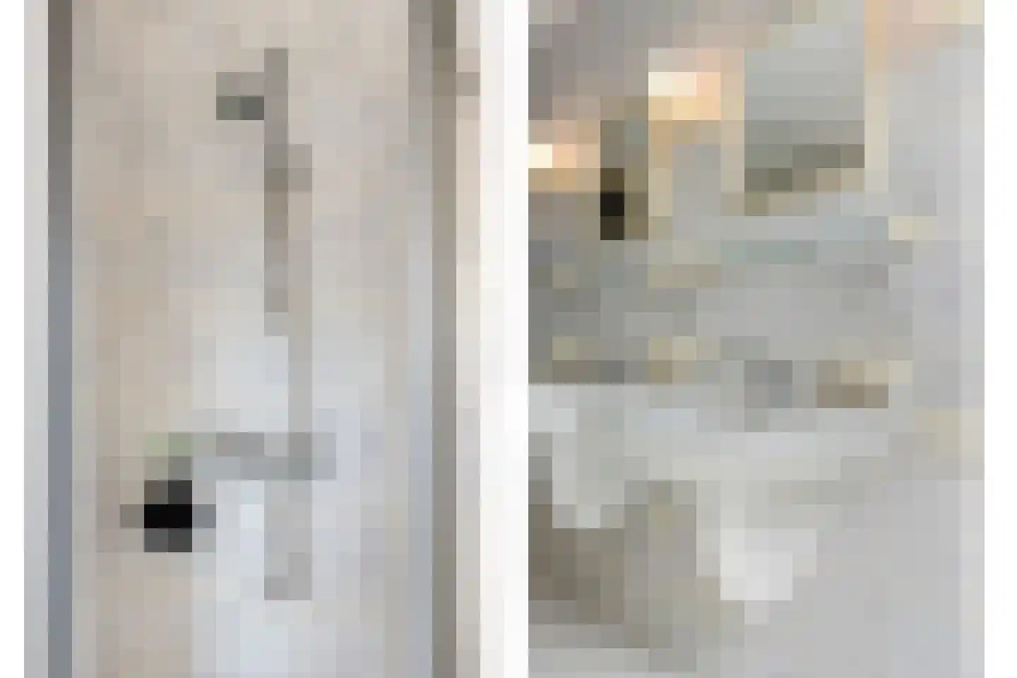 Hezelaar 45 Gemert thumbnail 19