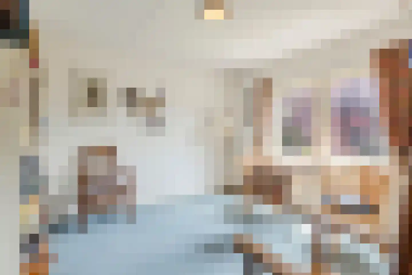 Hezelaar 45 Gemert thumbnail 22