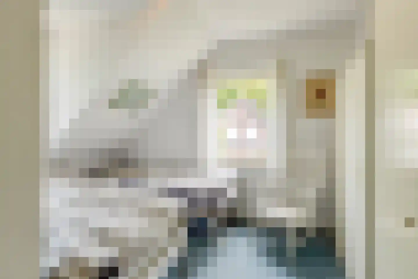Hezelaar 45 Gemert thumbnail 25
