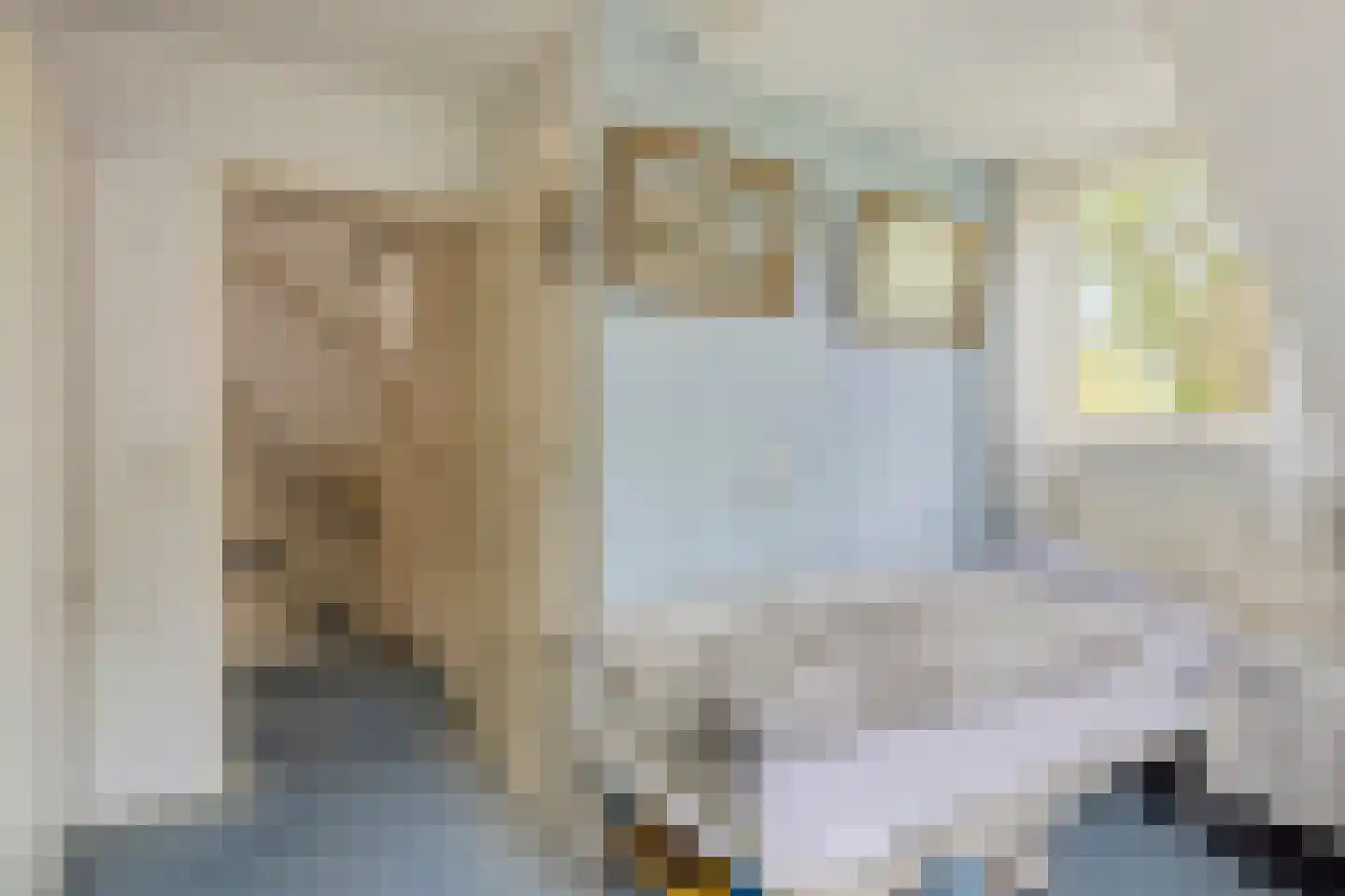 Hezelaar 45 Gemert thumbnail 26