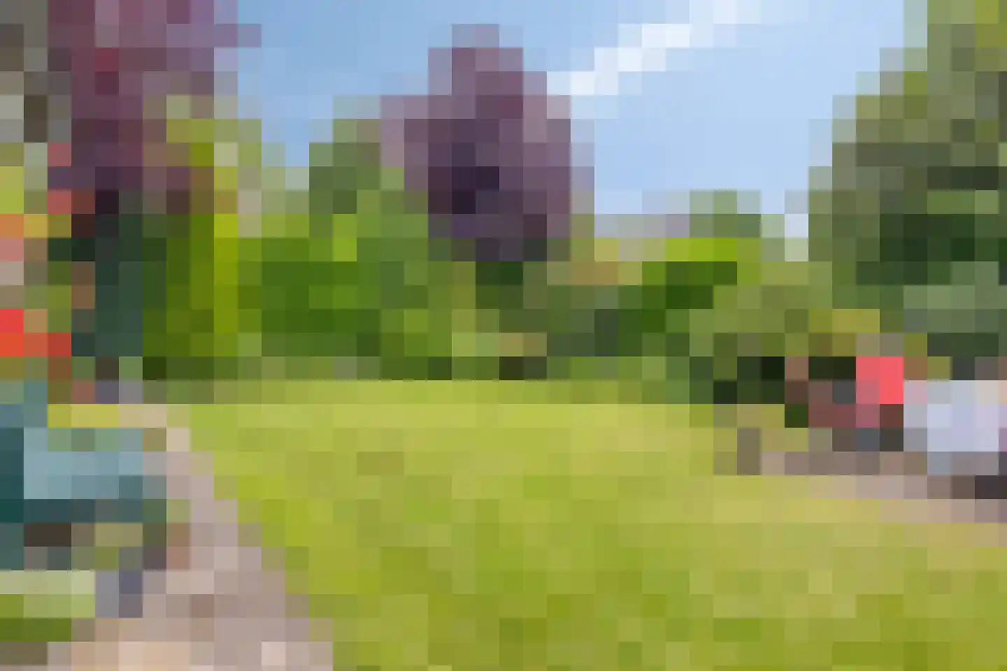Hezelaar 45 Gemert thumbnail 29