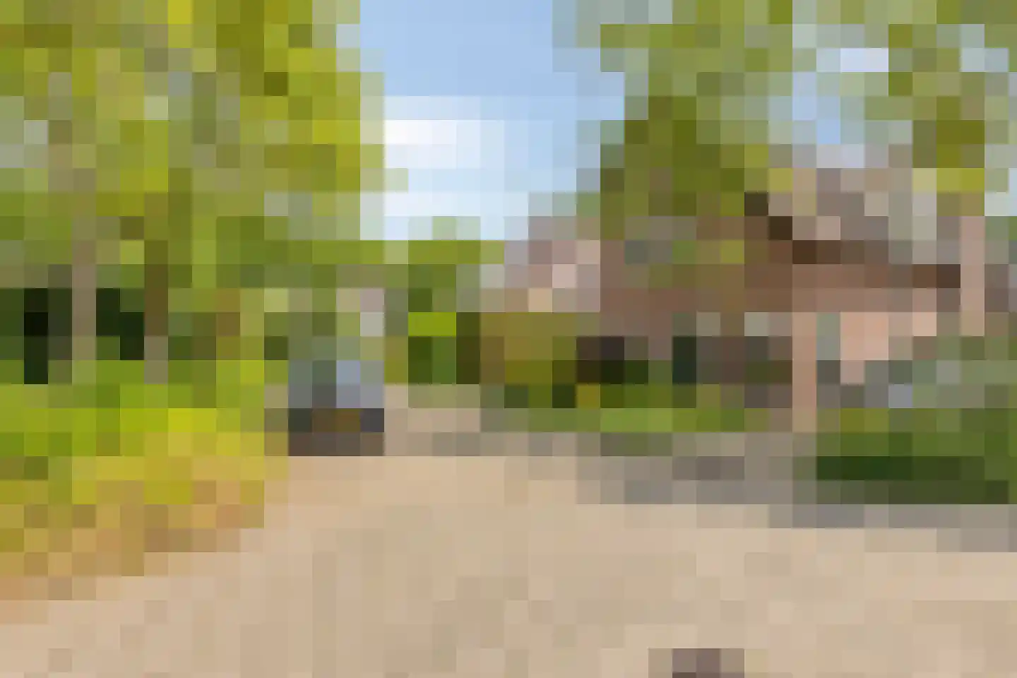 Hezelaar 45 Gemert thumbnail 36