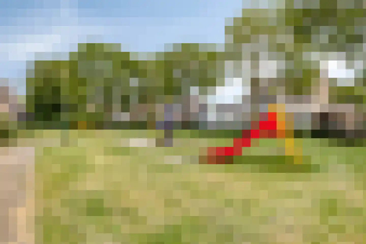 Hezelaar 45 Gemert thumbnail 38