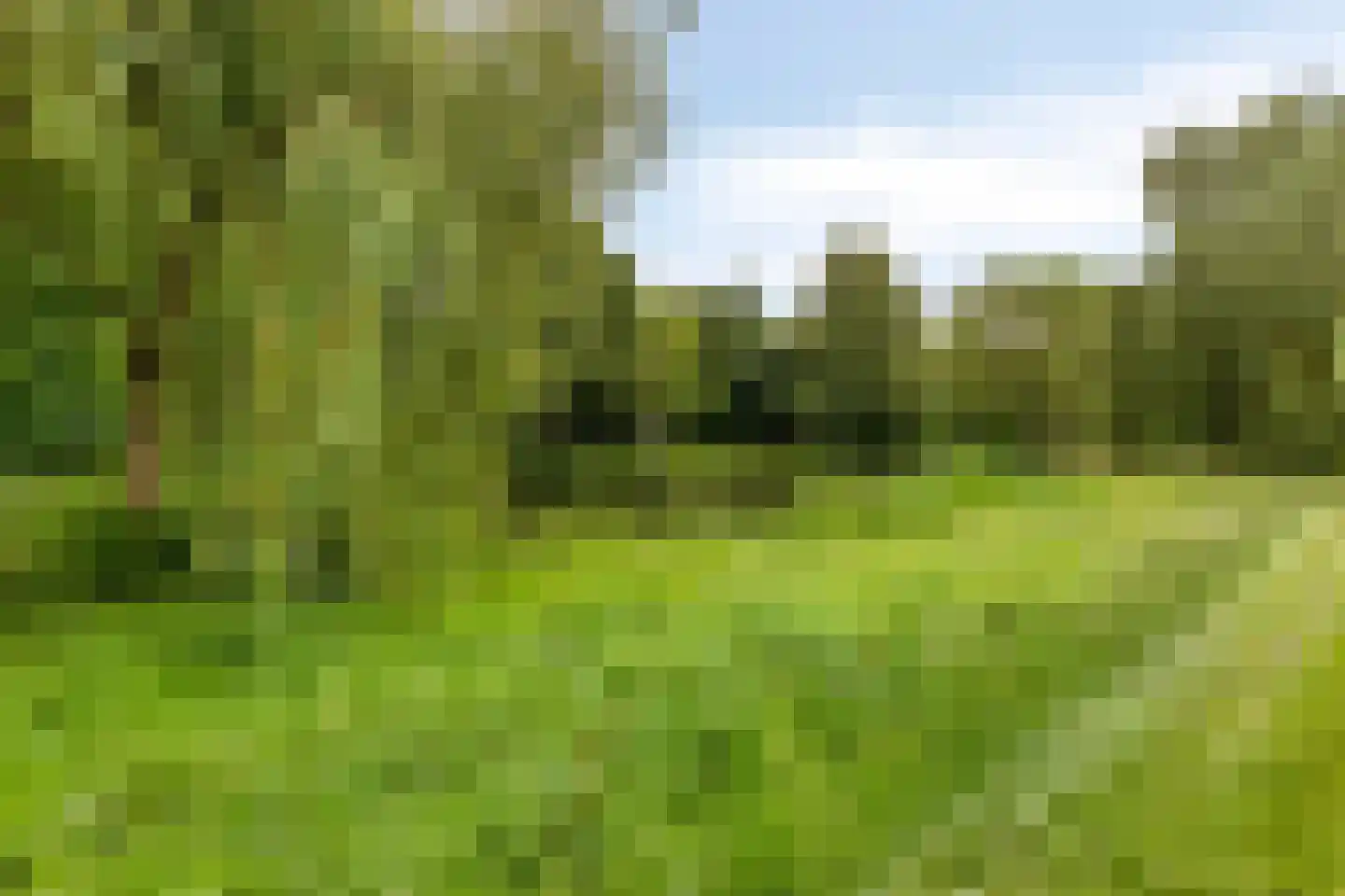 Hezelaar 45 Gemert thumbnail 39