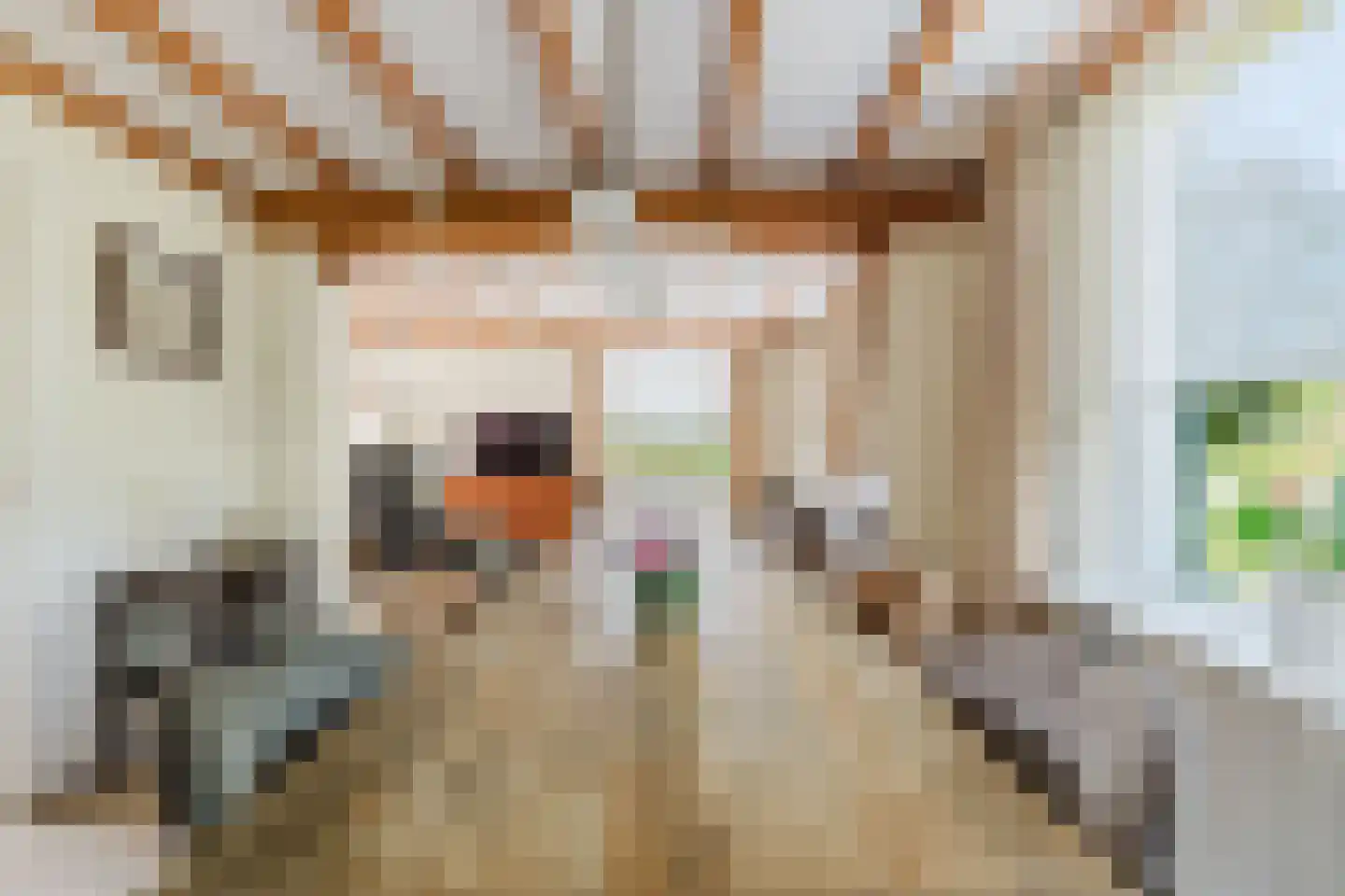 Hezelaarsestraat 10 Liempde thumbnail 10