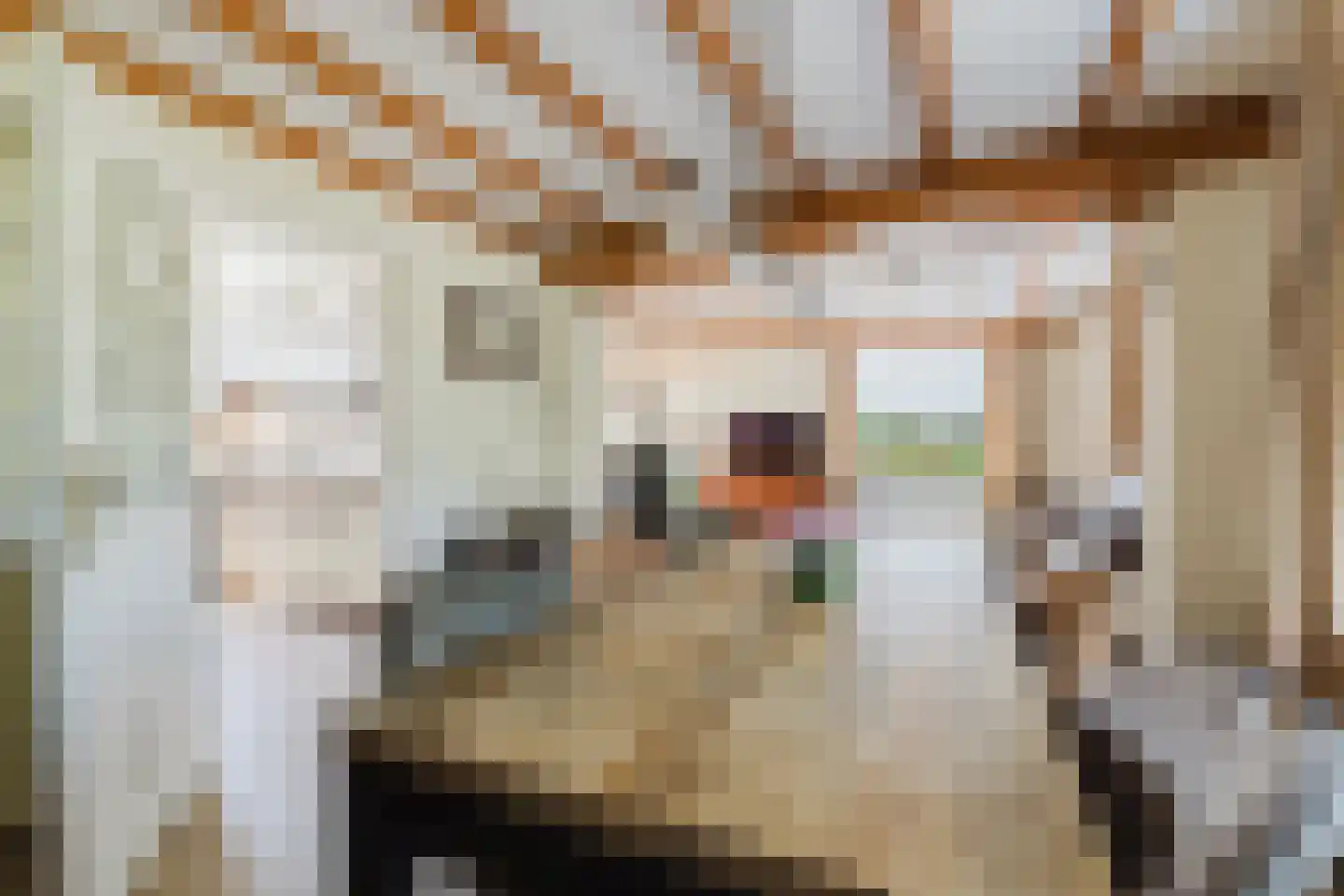 Hezelaarsestraat 10 Liempde thumbnail 11
