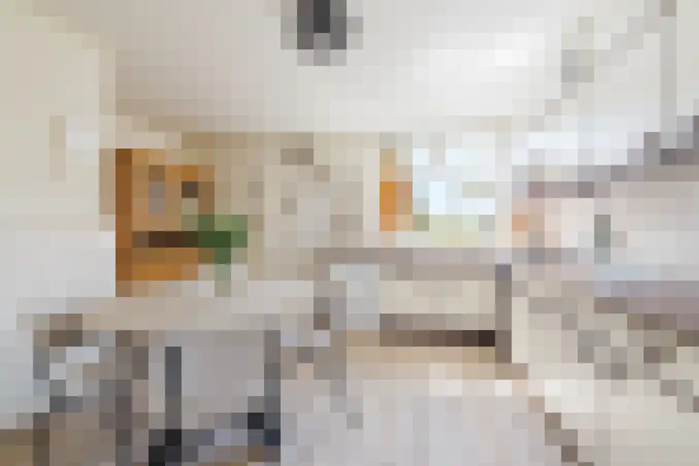 Hezelaarsestraat 10 Liempde thumbnail 15