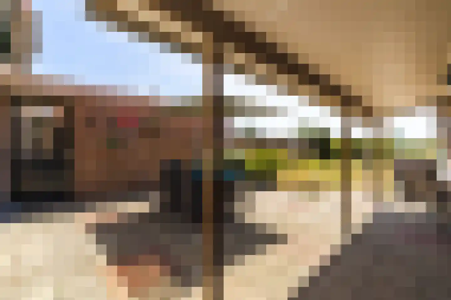 Hezelaarsestraat 10 Liempde thumbnail 37