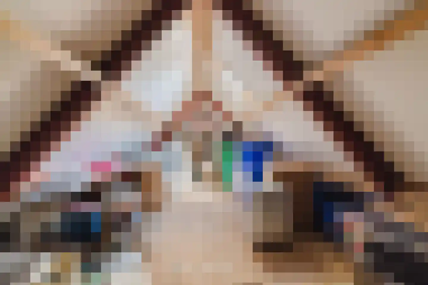 Hezelaarsestraat 10 Liempde thumbnail 50