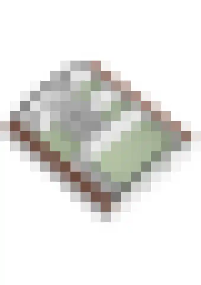 Hezelaarsestraat 10 Liempde thumbnail 60