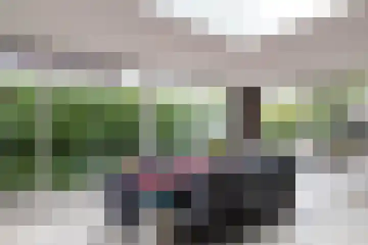 Hezelaarstraat 66 Veghel thumbnail 10