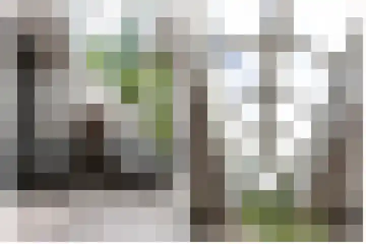 Hezelaarstraat 66 Veghel thumbnail 11