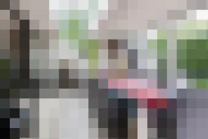 Hezelaarstraat 66 Veghel thumbnail 12
