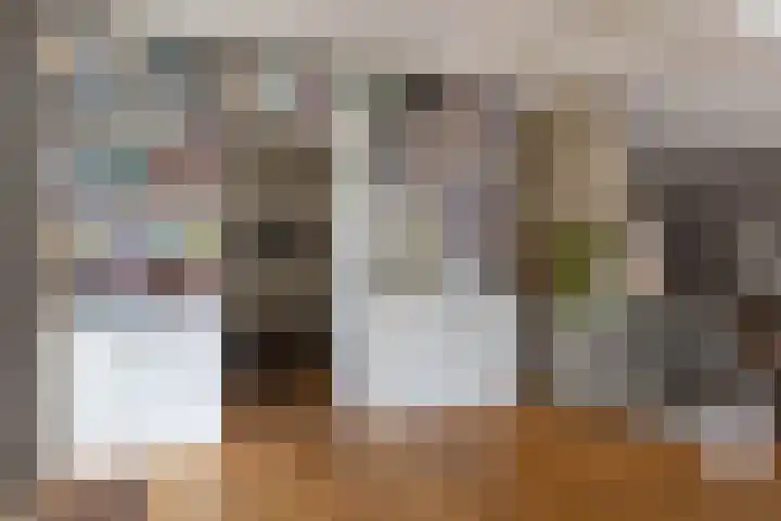 Hezelaarstraat 66 Veghel thumbnail 13