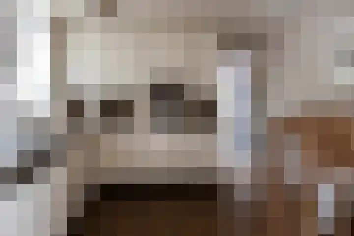 Hezelaarstraat 66 Veghel thumbnail 14