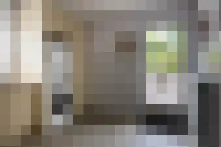 Hezelaarstraat 66 Veghel thumbnail 18