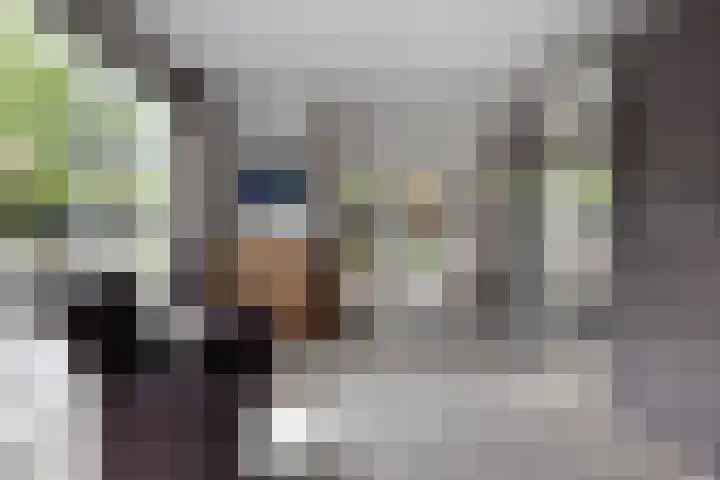 Hezelaarstraat 66 Veghel thumbnail 19