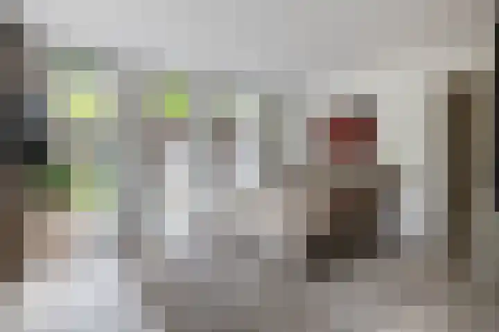Hezelaarstraat 66 Veghel thumbnail 20