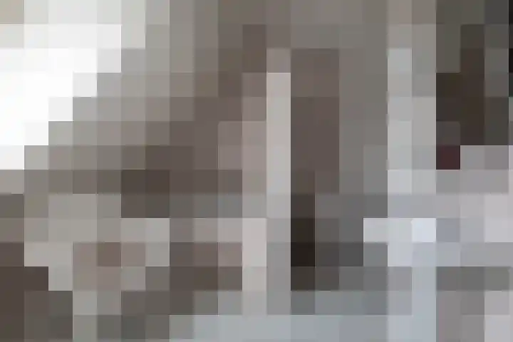 Hezelaarstraat 66 Veghel thumbnail 28