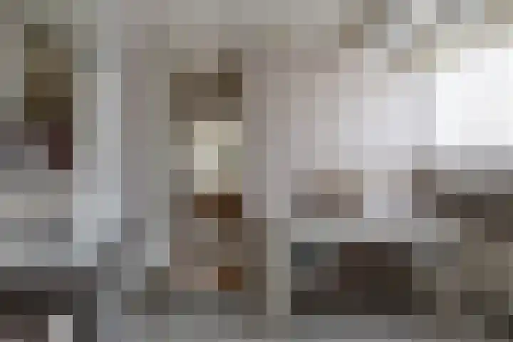 Hezelaarstraat 66 Veghel thumbnail 29