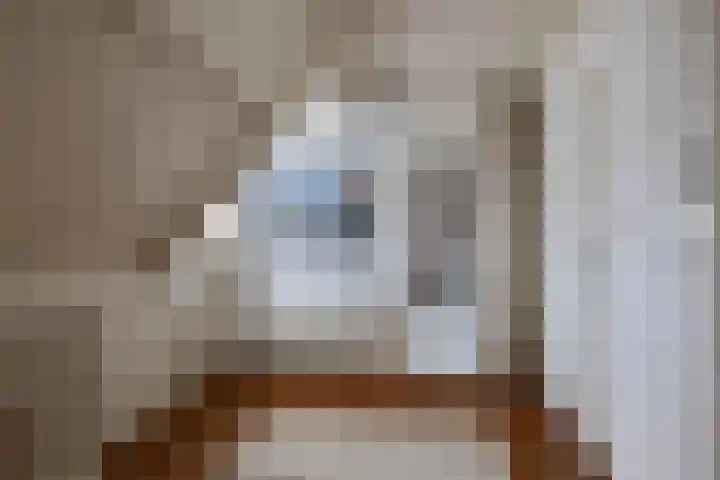Hezelaarstraat 66 Veghel thumbnail 30