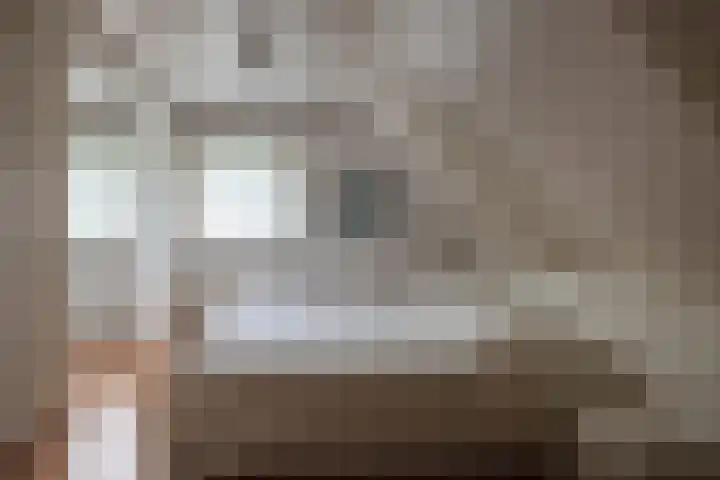 Hezelaarstraat 66 Veghel thumbnail 32