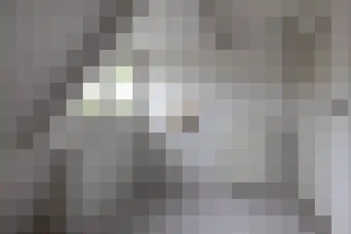 Hezelaarstraat 66 Veghel thumbnail 33