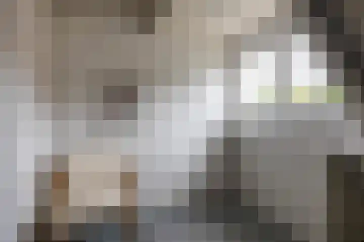 Hezelaarstraat 66 Veghel thumbnail 34