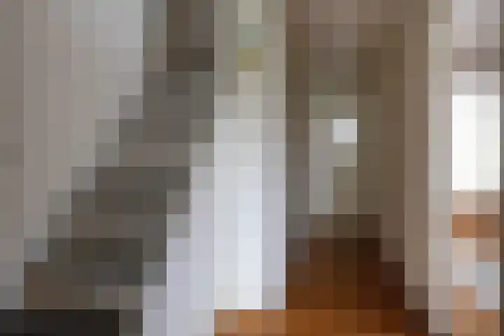 Hezelaarstraat 66 Veghel thumbnail 36