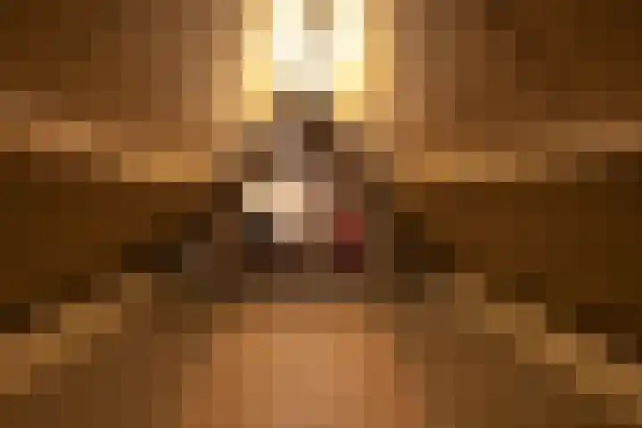 Hezelaarstraat 66 Veghel thumbnail 38