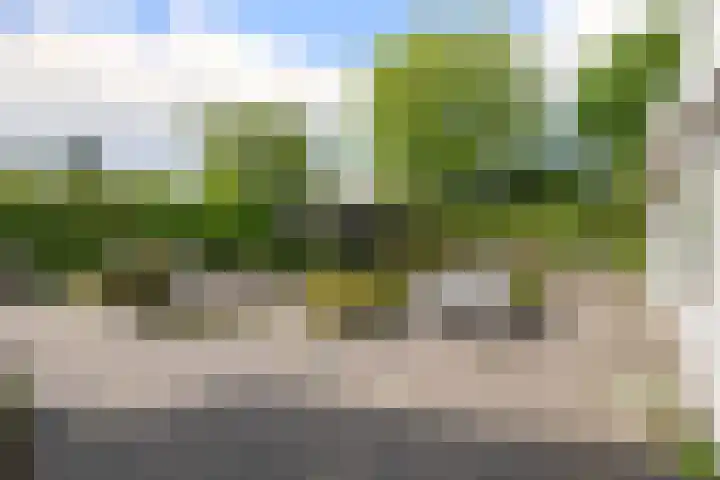 Hezelaarstraat 66 Veghel thumbnail 40