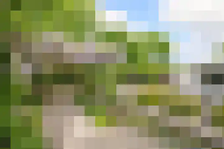 Hezelaarstraat 66 Veghel thumbnail 41