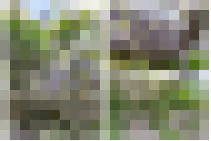 Hezelaarstraat 66 Veghel thumbnail 42