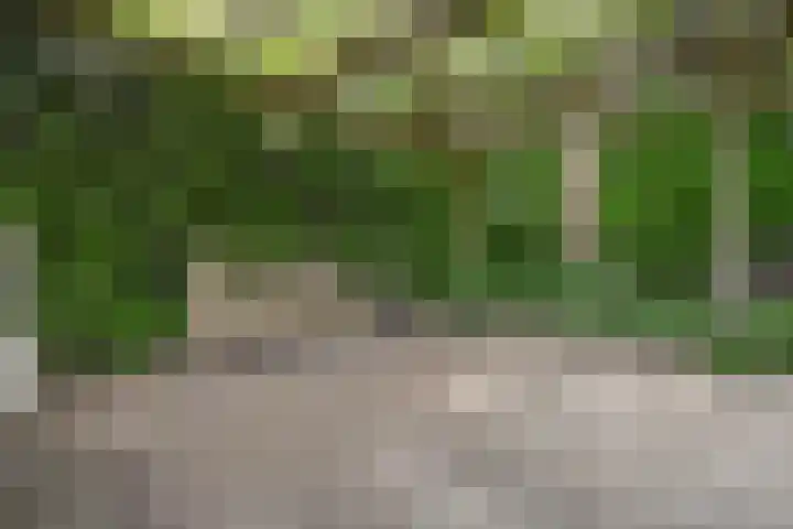 Hezelaarstraat 66 Veghel thumbnail 43