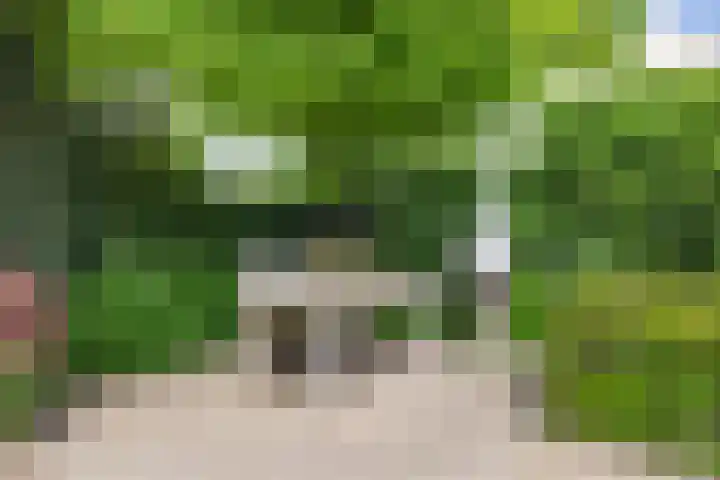 Hezelaarstraat 66 Veghel thumbnail 44