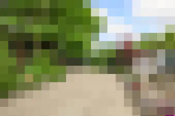 Hezelaarstraat 66 Veghel thumbnail 46