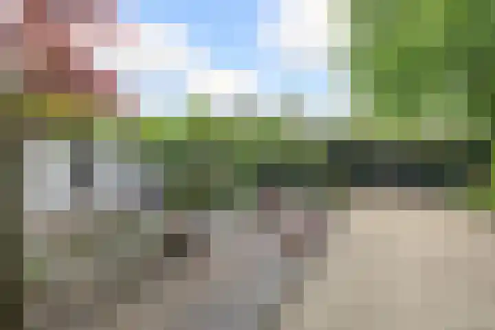 Hezelaarstraat 66 Veghel thumbnail 47