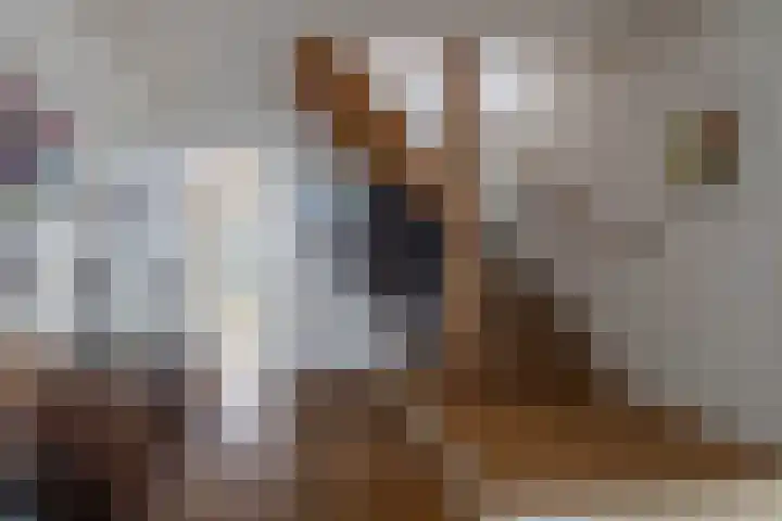 Hezelaarstraat 66 Veghel thumbnail 5