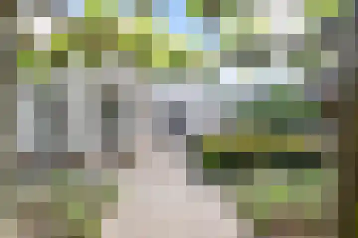 Hezelaarstraat 66 Veghel thumbnail 50