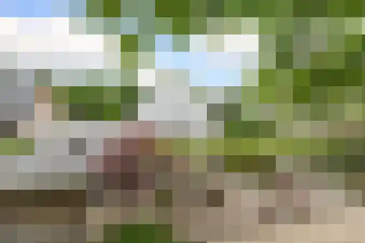 Hezelaarstraat 66 Veghel thumbnail 51