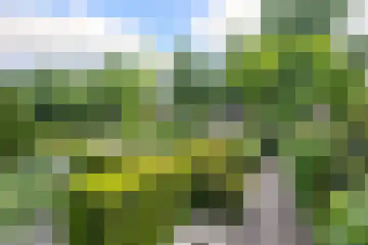 Hezelaarstraat 66 Veghel thumbnail 52