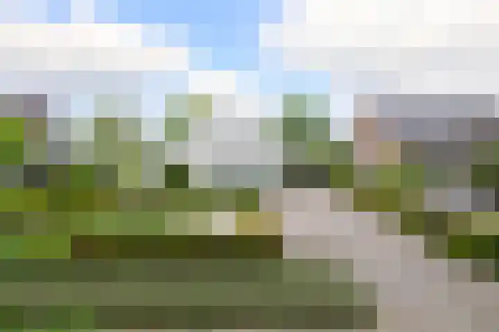 Hezelaarstraat 66 Veghel thumbnail 54