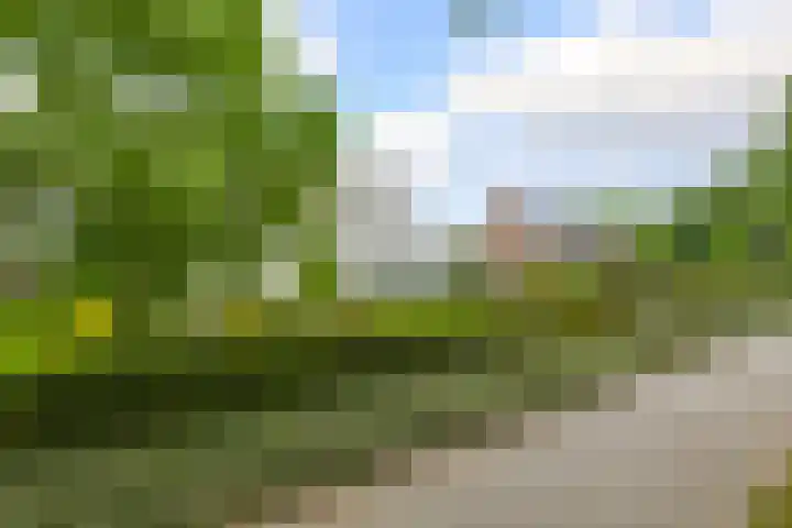 Hezelaarstraat 66 Veghel thumbnail 55