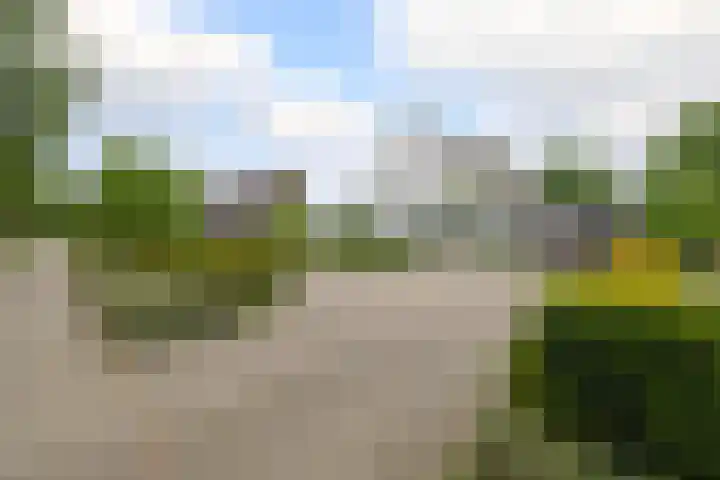 Hezelaarstraat 66 Veghel thumbnail 56