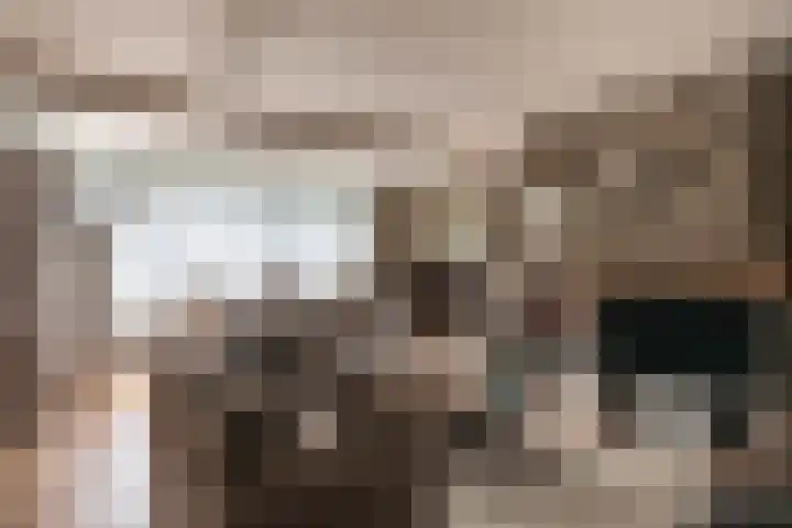 Hezelaarstraat 66 Veghel thumbnail 6