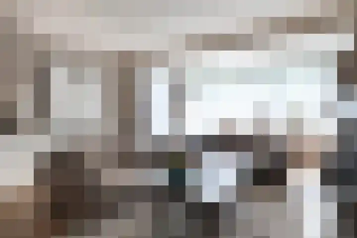 Hezelaarstraat 66 Veghel thumbnail 7