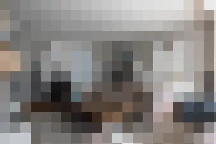 Hezelaarstraat 66 Veghel thumbnail 8