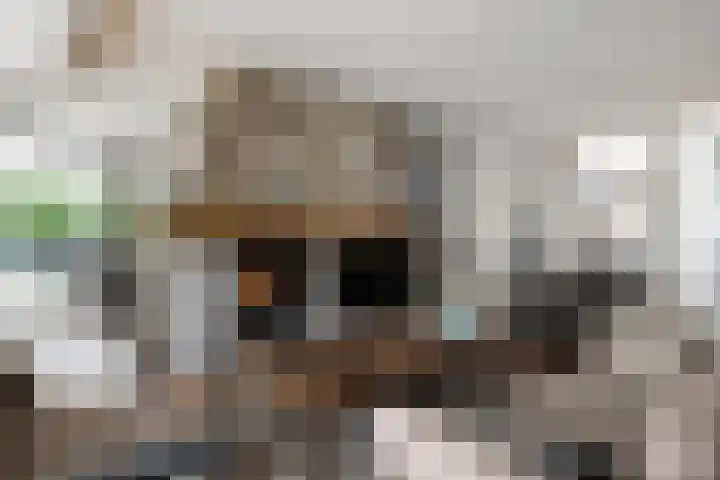 Hezelaarstraat 66 Veghel thumbnail 9
