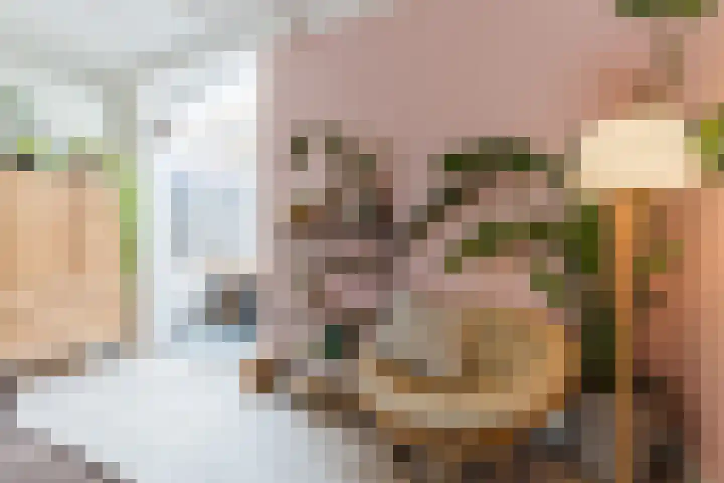 Hezelaarstraat 8 Veghel thumbnail 10